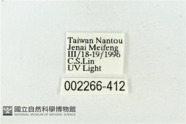 連珠波紋蛾藏品圖，第3張