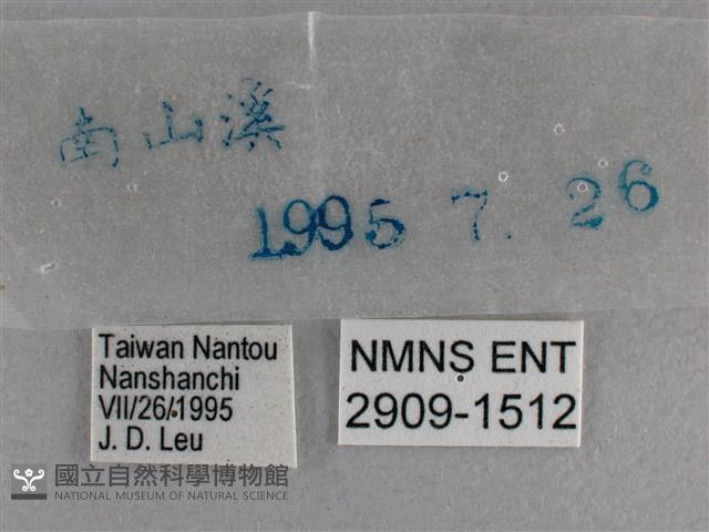 曲紋袖弄蝶藏品圖，第3張