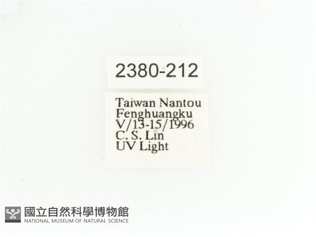 艷金龜藏品圖，第2張