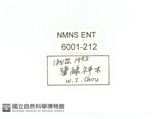 黑銅騷金龜藏品圖，第2張