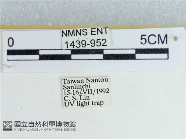 登錄號:001439-00952藏品圖，第3張