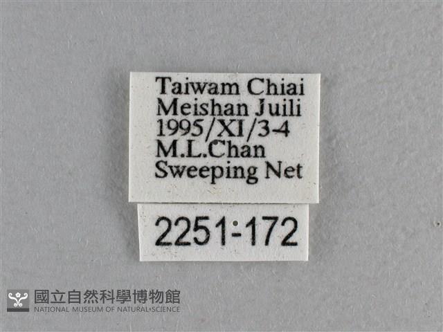 曲紋袖弄蝶藏品圖，第3張