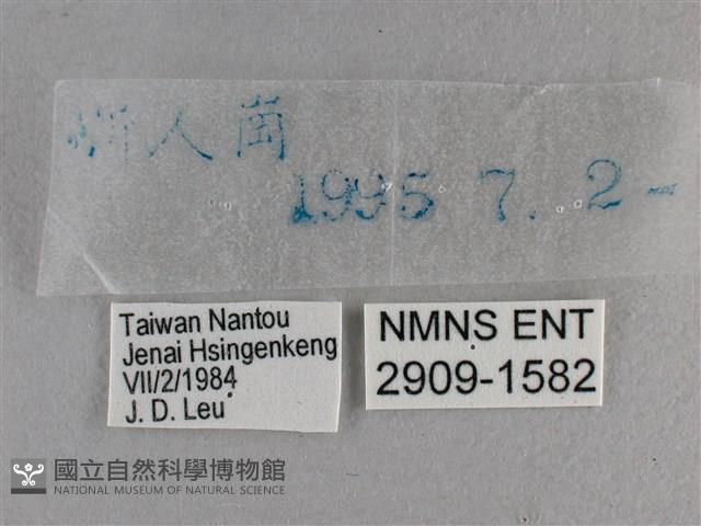 曲紋袖弄蝶藏品圖，第3張