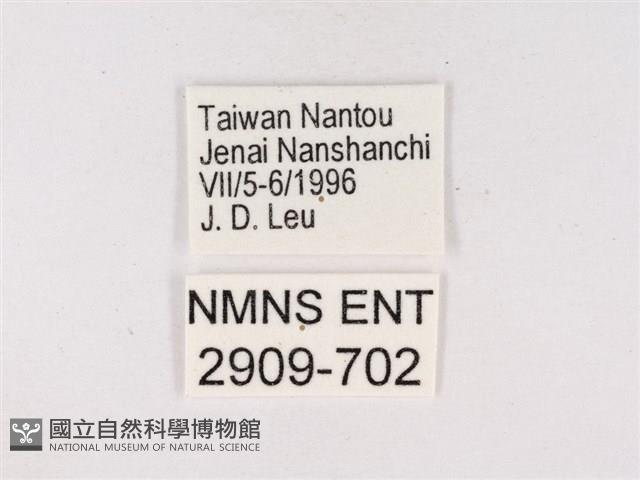 嫵琉灰蝶藏品圖，第3張