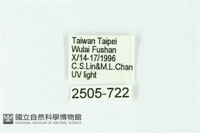 三色豔苔蛾藏品圖，第3張