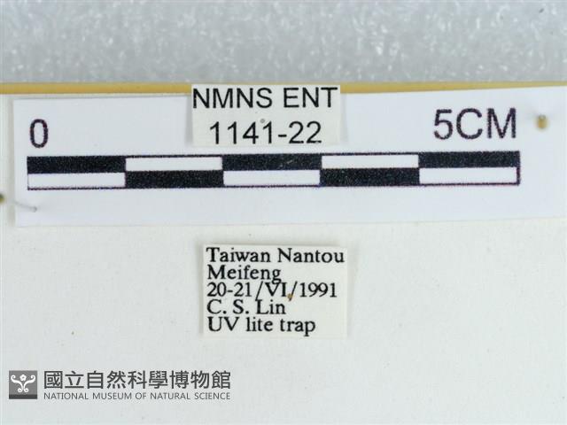 登錄號:001141-00022藏品圖，第3張