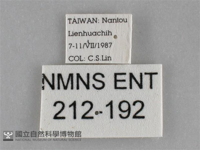登錄號:000212-00192藏品圖，第3張