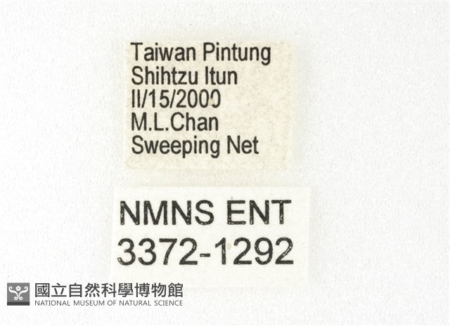旖斑蝶藏品圖，第3張