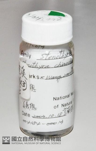 礁溪粟螺藏品圖，第1張