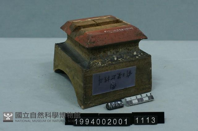 Accession Number:1994002001.1113 Collection Image