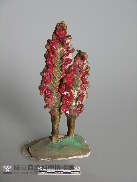 梅山收七怪 藏品圖，第2張