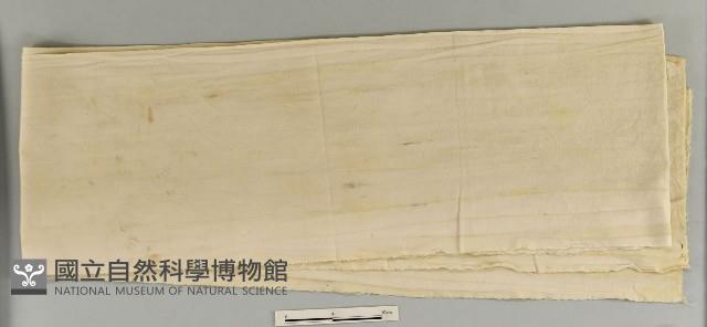 白裸腿藏品圖，第1張