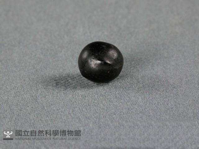 竹筒(籽)藏品圖，第1張