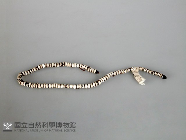 珠鍊藏品圖，第1張