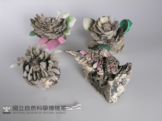剪黏(花)藏品圖，第1張