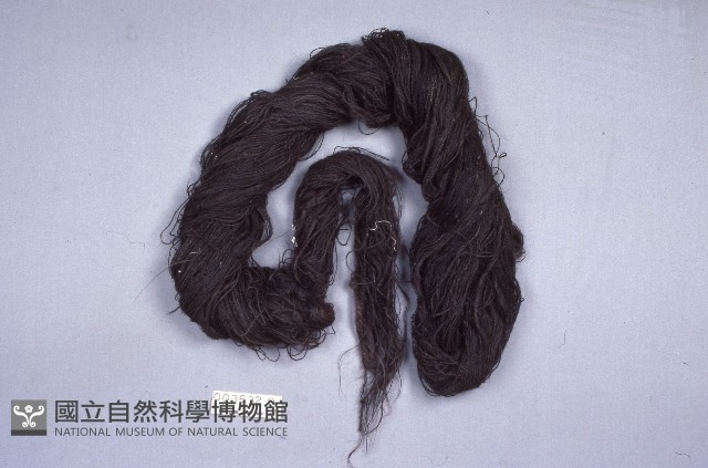 髮飾藏品圖，第1張