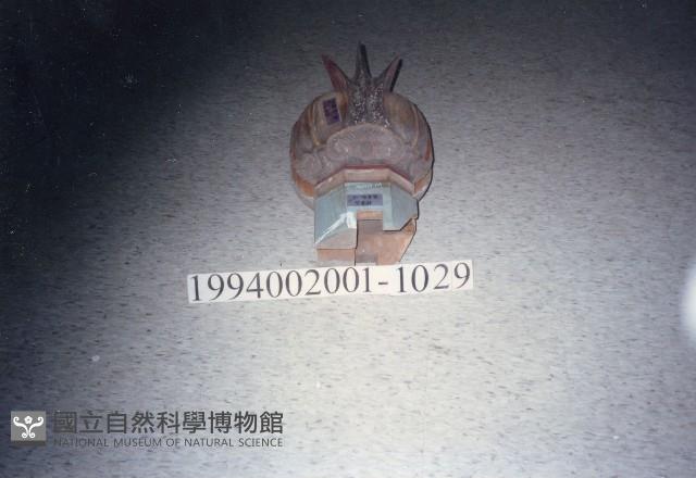 屋宅木構件藏品圖，第1張