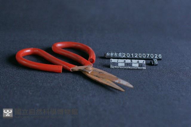 剪刀藏品圖，第1張