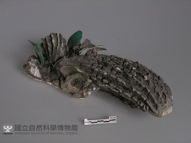 剪黏(苦瓜) 藏品圖，第1張