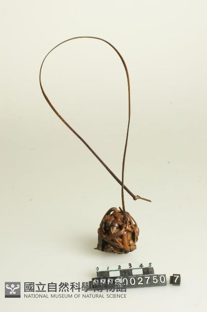 籐球藏品圖，第1張