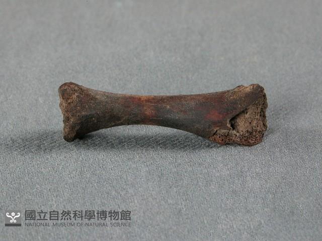 竹筒(骨)藏品圖，第1張