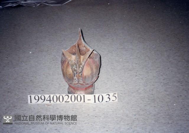 屋宅木構件藏品圖，第1張