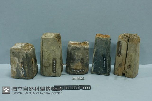 屋宅構件(5件)藏品圖，第1張