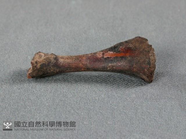 竹筒(骨)藏品圖，第1張