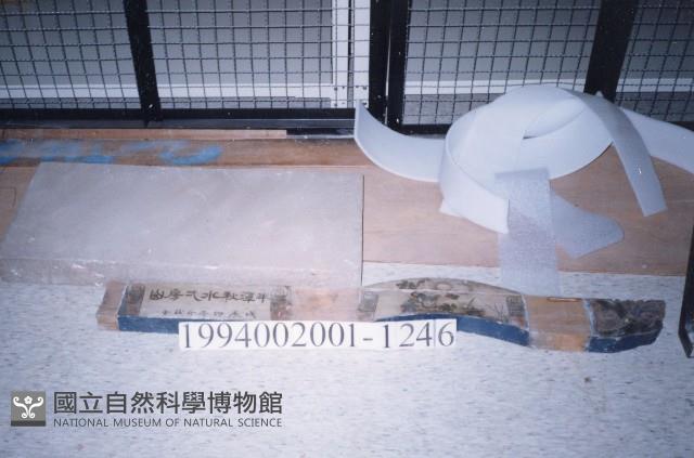 屋宅構件藏品圖，第1張