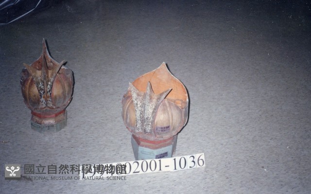 屋宅木構件藏品圖，第1張