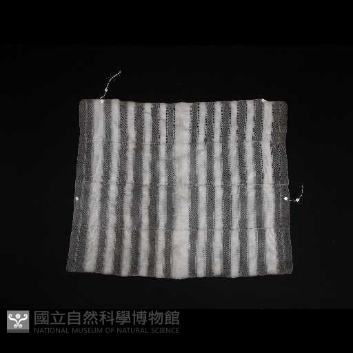 披肩藏品圖，第1張