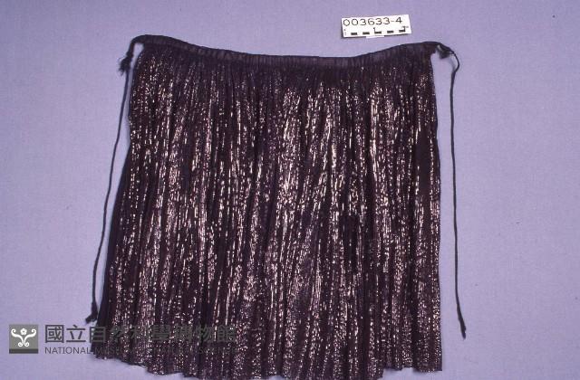 Accession Number:0000003633.0004 Collection Image