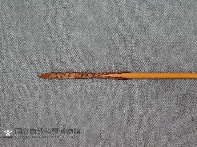 矢藏品圖，第1張