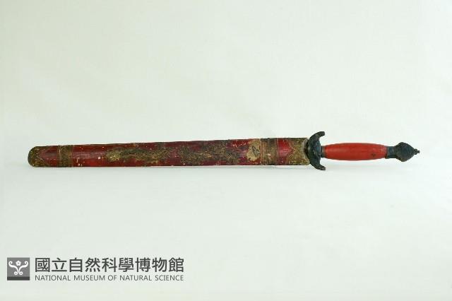 Accession Number:0000002848.0001 Collection Image