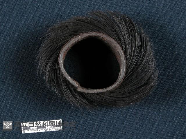 臂飾藏品圖，第1張