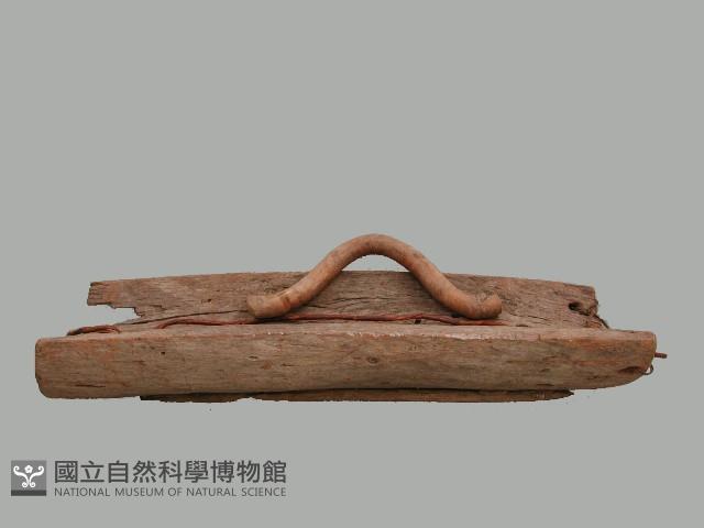 木馬藏品圖，第1張