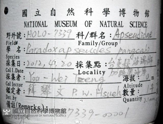 邦查奇異鞭尾蟲(新種)藏品圖，第1張