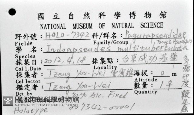 多瘤印度鞭尾蟲藏品圖，第1張