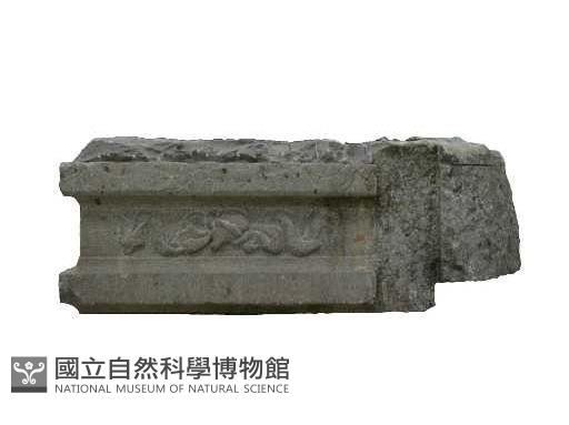 獅座藏品圖，第2張