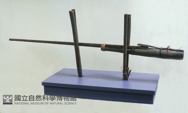 槍藏品圖，第1張