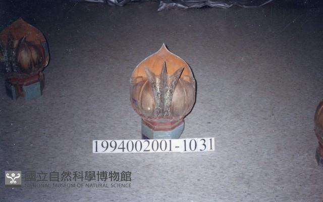 屋宅木構件藏品圖，第1張