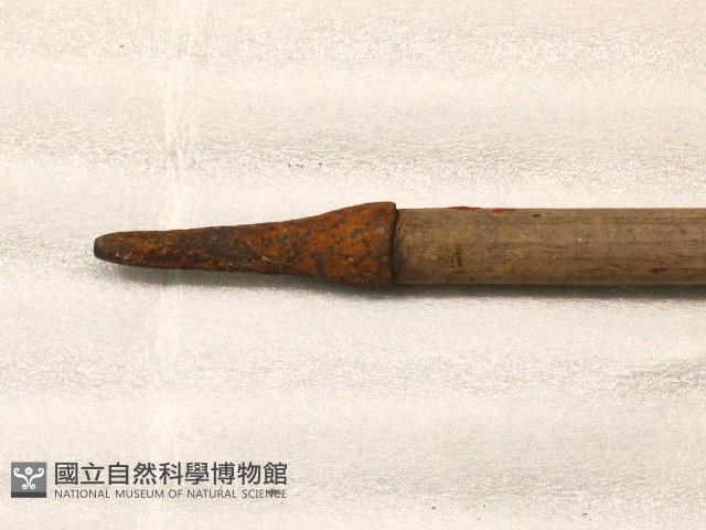 槍-套藏品圖，第1張