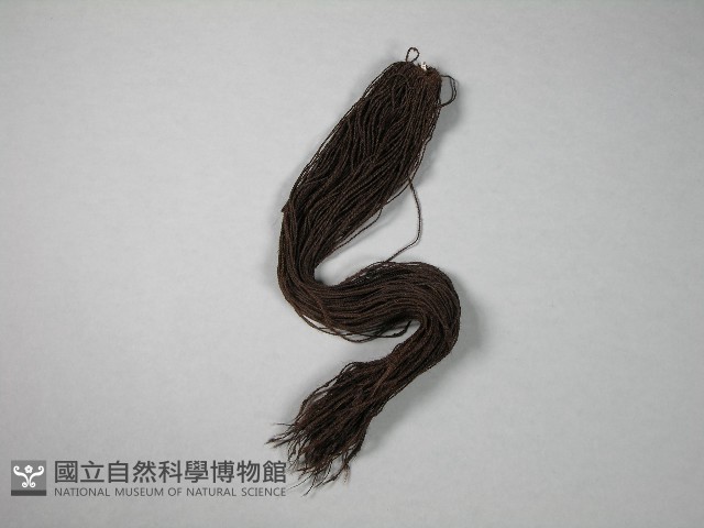 假髮藏品圖，第1張