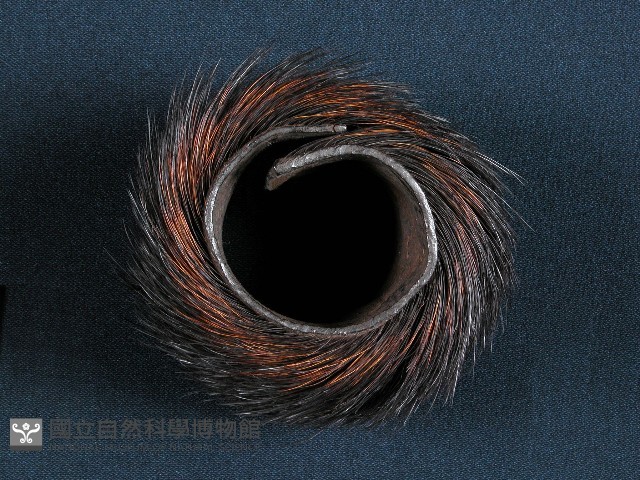 臂飾藏品圖，第1張