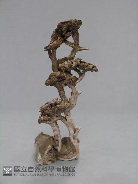 鐵弓緣 藏品圖，第1張