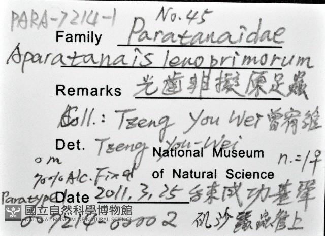 光齒非擬原足蟲藏品圖，第1張