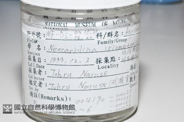 西表島新米蝦藏品圖，第1張