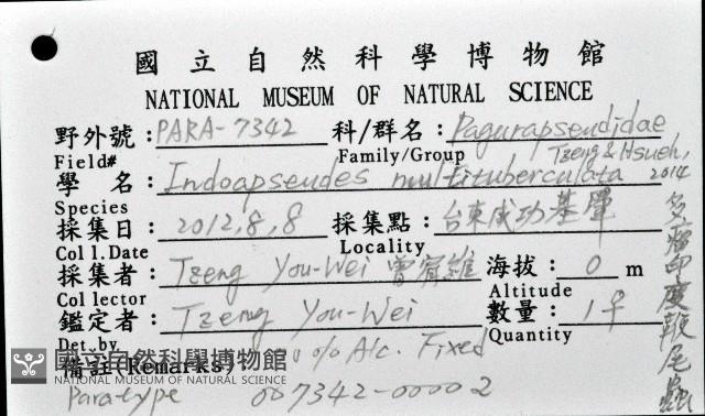 多瘤印度鞭尾蟲藏品圖，第1張