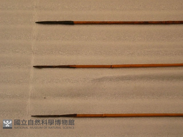 矢藏品圖，第1張