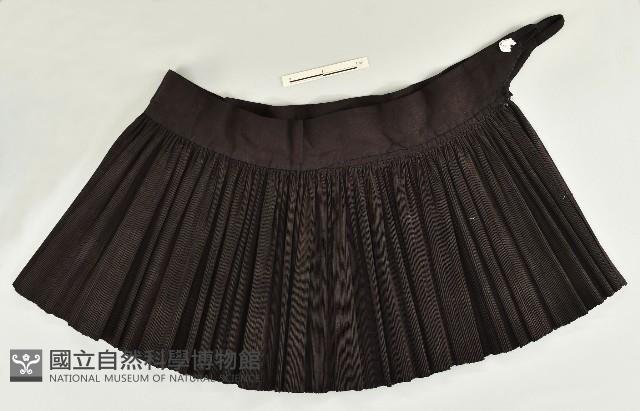 百褶裙藏品圖，第1張